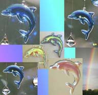Crystal Diving Dolphins