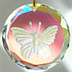 Sparkling Crystal Disc with Etched Butterfly.