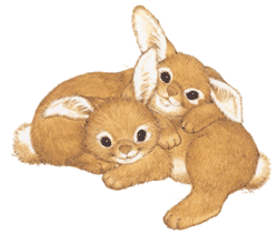Cuddly Cute Rabbits
