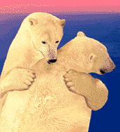 A Great Big Polar Bear Hug!!