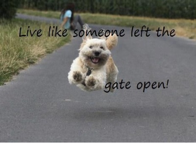 Live Like Someone Left the Gate Open!