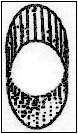 Line Drawing of Fluted Slice Crystal