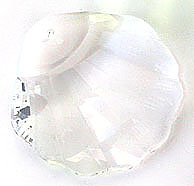 Delightful Crystal Sea Shell
